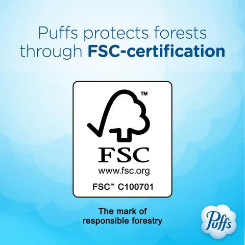 Puffs Facial Tissues Plus Lotion, 4 Family Boxes, 124 Facial Tissues per Box, Allergies and Colds (Packaging May Vary)