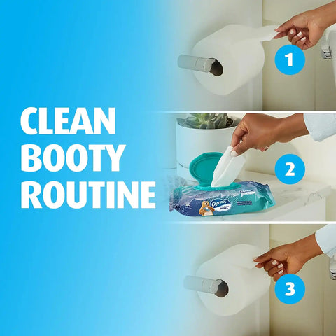 Charmin Flushable Wipes, 320 Total Wipes (8 Packs of 40)