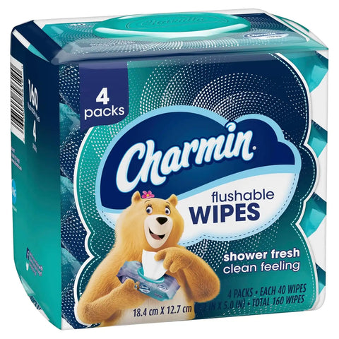 Charmin Flushable Wipes, 160 Total Wipes 40 Count (Pack of 24)