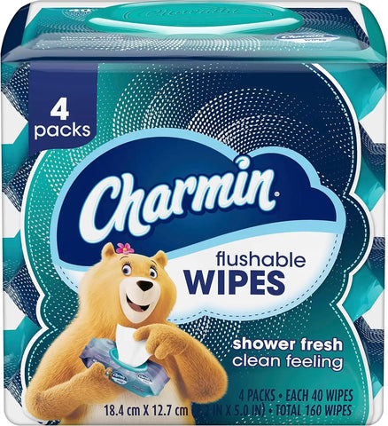 Charmin Flushable Wipes, 160 Total Wipes 40 Count (Pack of 24)