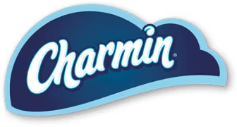 charminpaper.it.com